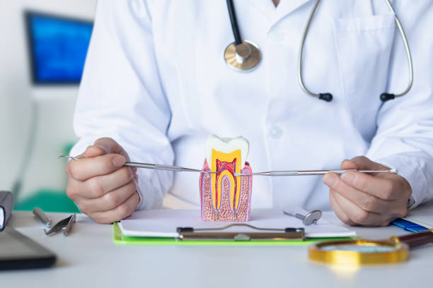 Best Weekend Emergency Dental Services in Sharon Center, OH